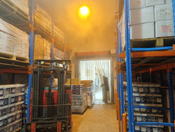 Pan Malayan Warehouse (D14), Warehouse #581800981